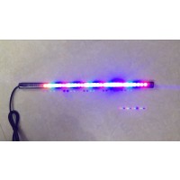 전동킥보드LED 12V